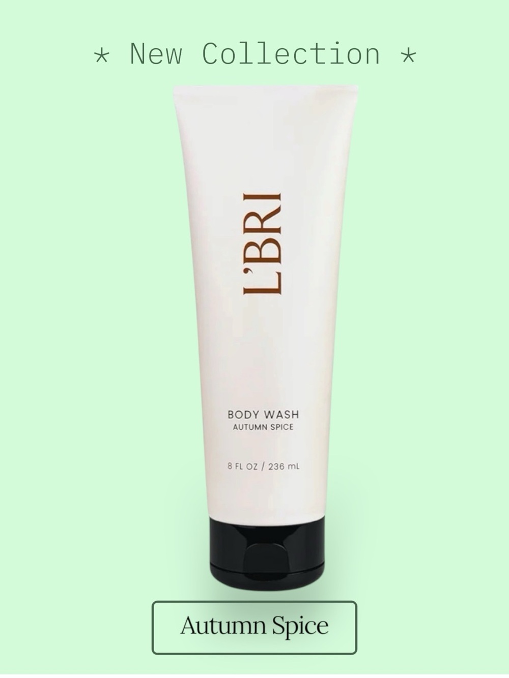 Autumn Spice Body Wash Aloe Based Natural Sulfate-free Natural Clean Skincare
